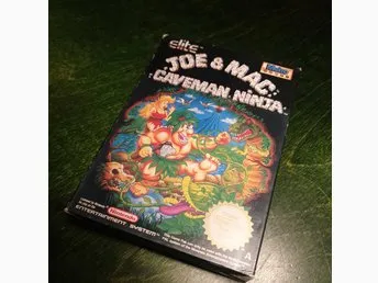 Joe & Mac Caveman Ninja, EAI