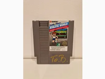 Family Fun Fitness Athletic World NES
