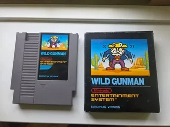 Wild Gunman