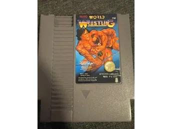 Tecmo World Wrestling NES