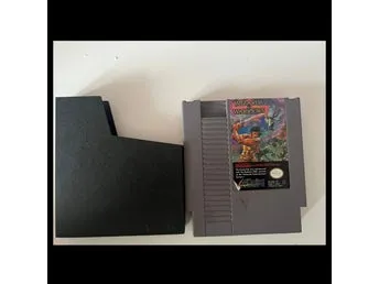 Wizards & Warriors (NES)