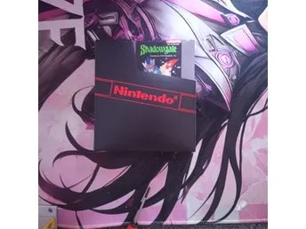 Shadowgate & The Goonies II (NES), Fester