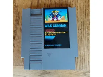 Wild Gunman